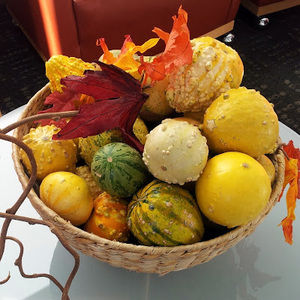 Meet your Posher, Morgan